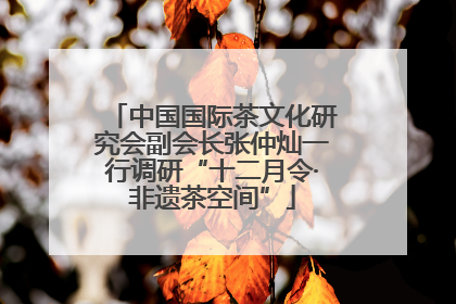 中国国际茶文化研究会副会长张仲灿一行调研“十二月令·非遗茶空间”